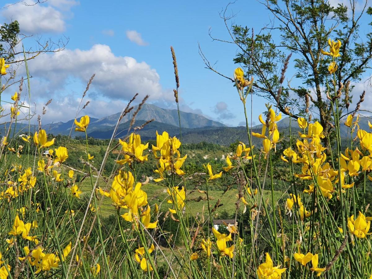 Agriturismo Il Burlino Apartments Lerma Dış mekan fotoğraf