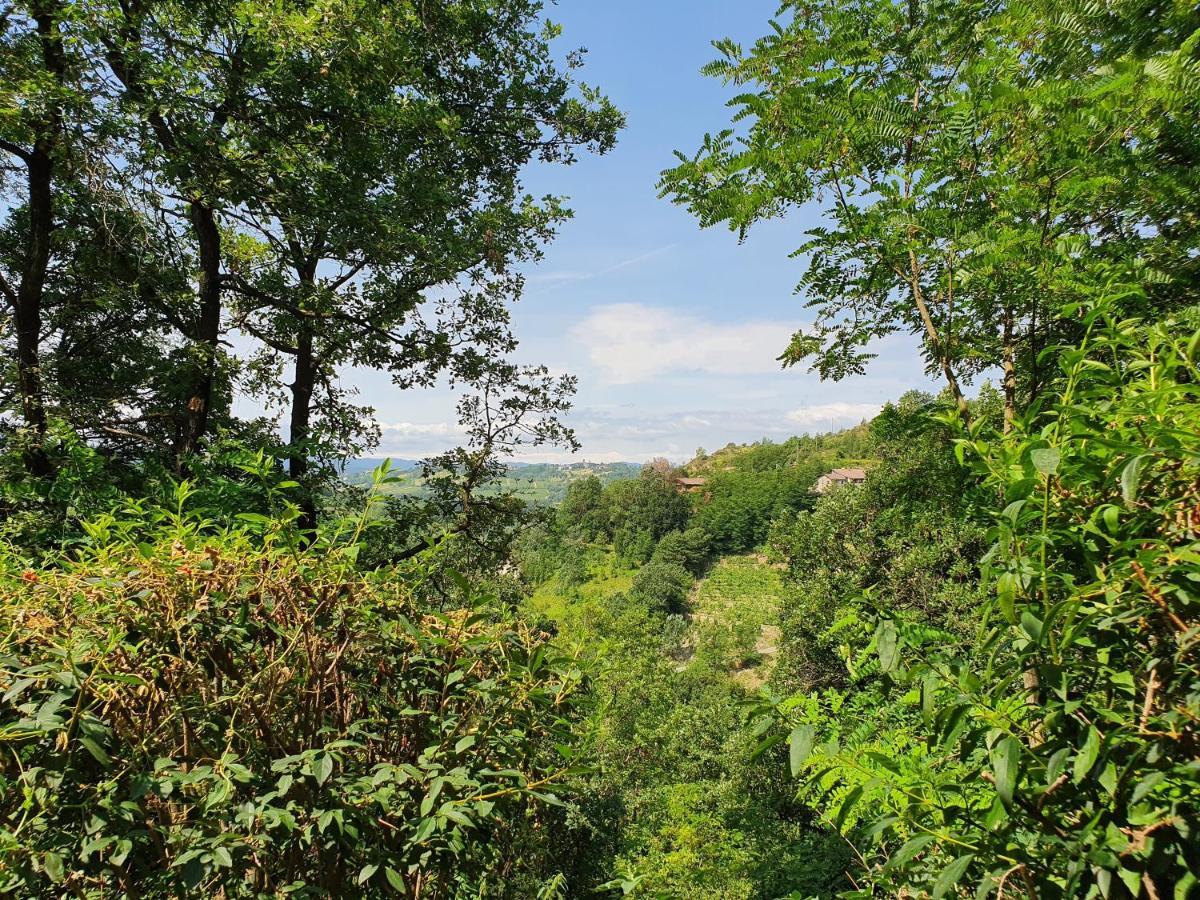 Agriturismo Il Burlino Apartments Lerma Dış mekan fotoğraf