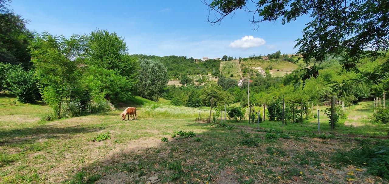 Agriturismo Il Burlino Apartments Lerma Dış mekan fotoğraf