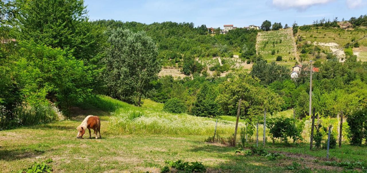 Agriturismo Il Burlino Apartments Lerma Dış mekan fotoğraf