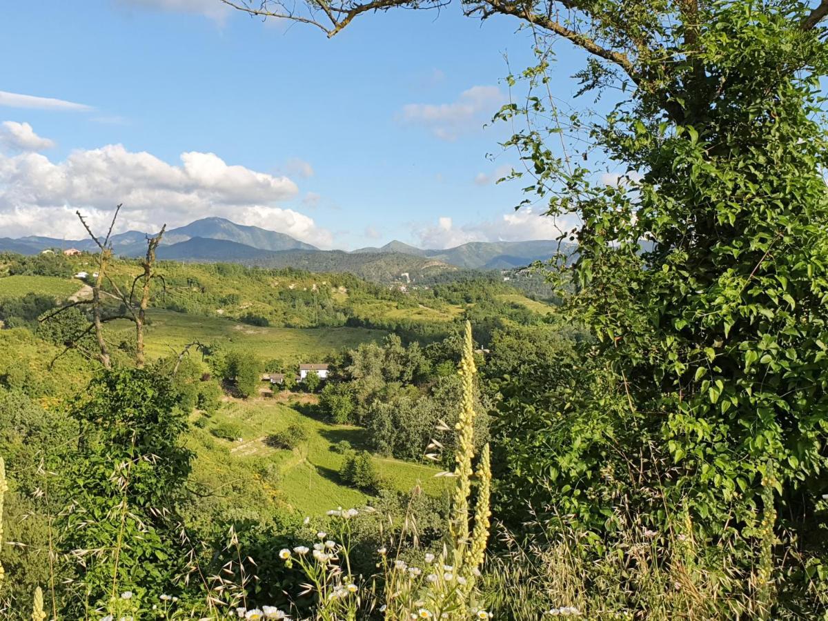 Agriturismo Il Burlino Apartments Lerma Dış mekan fotoğraf