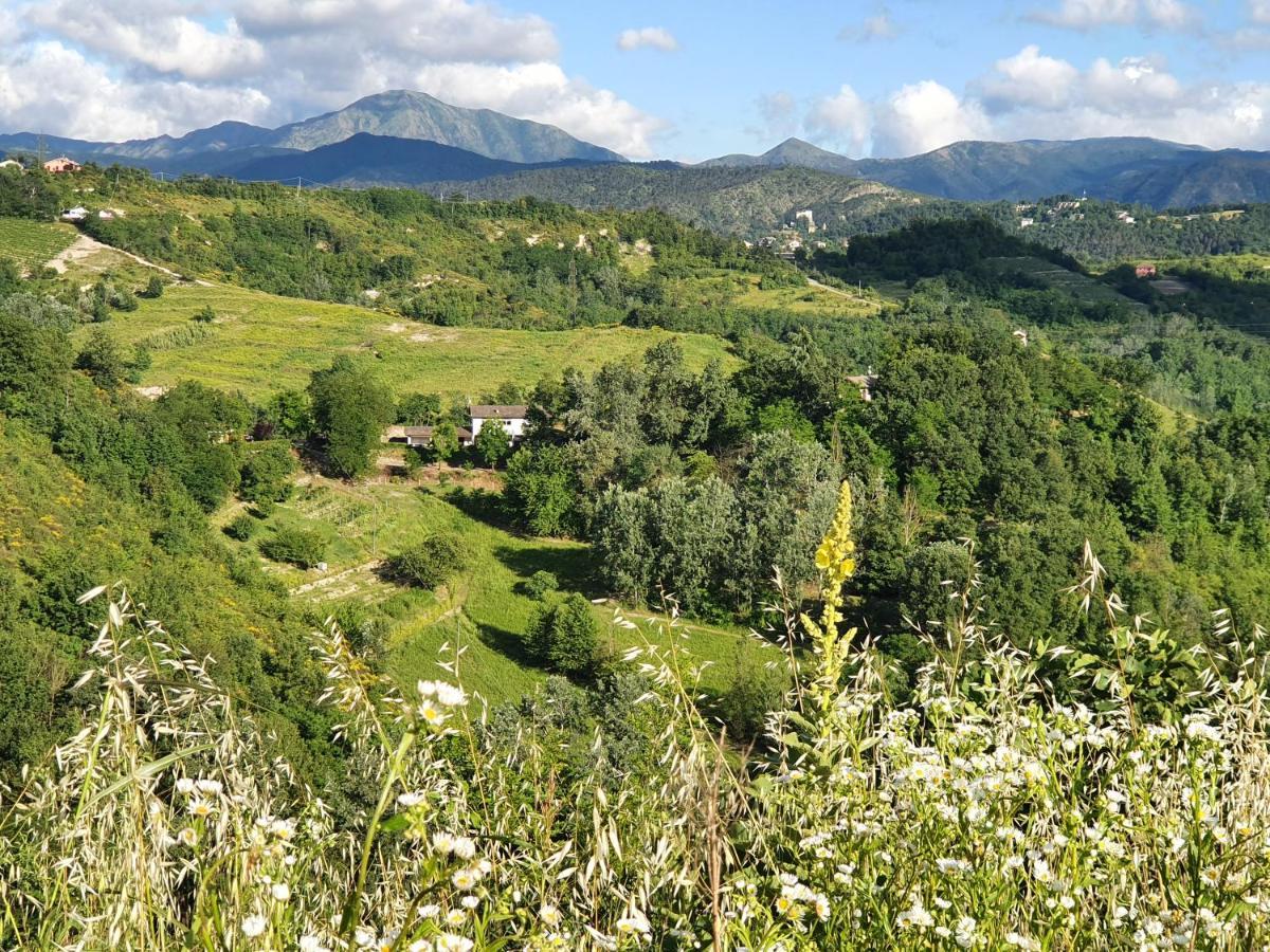 Agriturismo Il Burlino Apartments Lerma Dış mekan fotoğraf