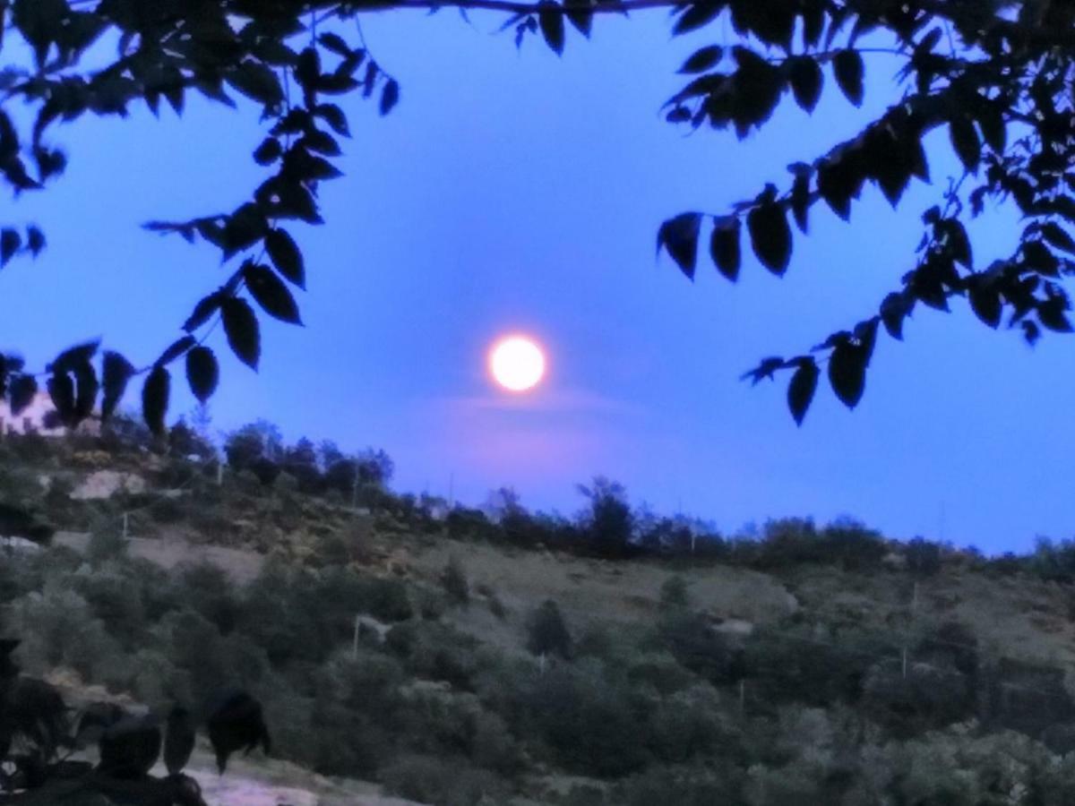 Agriturismo Il Burlino Apartments Lerma Dış mekan fotoğraf